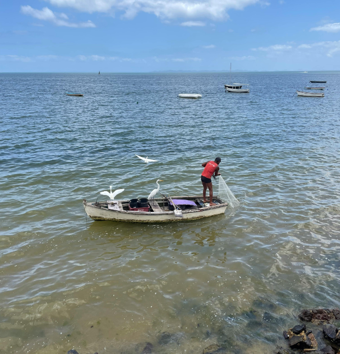 sustainable fisheries statistics image